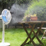 Misting Fan Ring